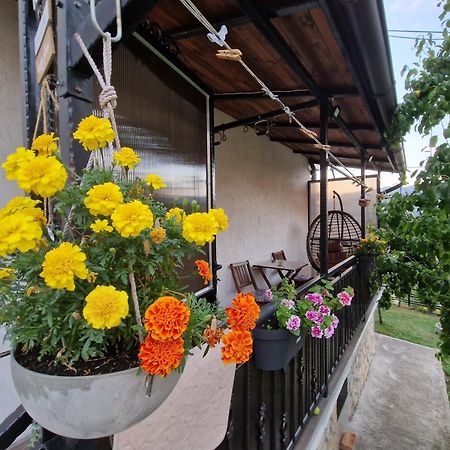 Apartamento Garden Of Dreams & Free Private Parking SJJ Exterior foto